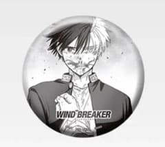WINDBREAKER 원작 5주년 제일 복권 E상 캔 배지 벚꽃 하루카
