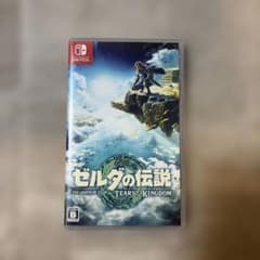 [동작 확인됨] 젤다의 전설 티어즈 오브 더 킹덤 Switch 버전
