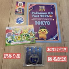 ポケモンGO 10周年 記念メダル Pokémon GO  匿名配送 ポケモンGO 10周年 記念メダル 記念コイン 訳あり品 おまけ付き - メルカリ