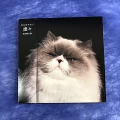 カネコアヤノ 燦々 初回限定盤 - メルカリ
