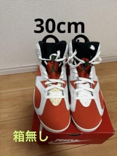 NIKE AIR JORDAN 6 RETRO/エアジョーダン6ゲーターレードのサムネイル