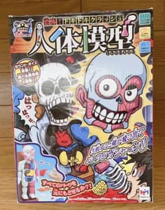 人体模型　おもちゃ　パズルのサムネイル