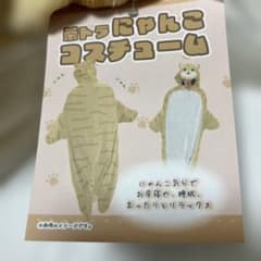 옷차림 차 호랑이 냥코 코스튬