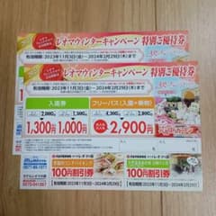 レオマワールド　ウィンターキャンペーン　特別ご優待券　2枚セットのサムネイル