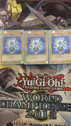 遊戯王 グローアップバルブ ゴルシク3枚のサムネイル