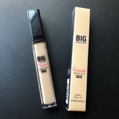 エチュードハウス　コンシーラー　BIG 韓国購入品　値下げ！のサムネイル