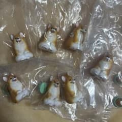 まてぼうけ犬3 コーギー　まとめ売りのサムネイル
