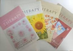 ライトワークス 「THERAPY」(セラピー) 4冊組　128〜131　春夏秋冬