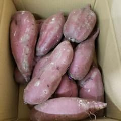 サツマイモ 茨城県産 シルクスイート箱含む 10キロ - メルカリ