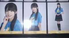 乃木坂46 大越ひなの 静岡ライブT コンプ - メルカリ