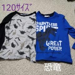 せい様　専用　Tシャツ 男の子　　恐竜のサムネイル