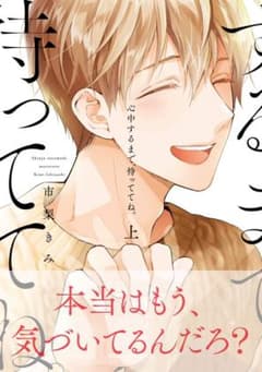 心中するまで待っててねのサムネイル
