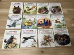 絵本版シートン動物記　12冊セット　まとめ売りのサムネイル