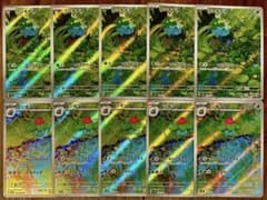 ポケモンカード フシギダネ 進化ライン AR 各5枚 10枚セット まとめ