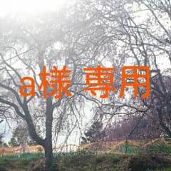 a様専用のサムネイル