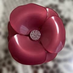 アレクサンドルドゥパリカメリア大濃いピンクのサムネイル