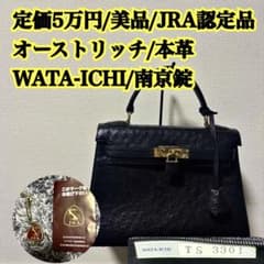 美品/JRA/オーストリッチ⭐️ハンドバッグ 本革 黒 南京錠 カデナ 金具 