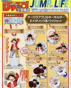 ワンピース ONE PIECE オーロラアクキー＆メタリック缶バッジ5種セット