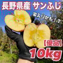 長野県産りんご サンふじ 優品 10kg 信州りんご 甘い安い美味い 15