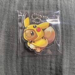 포켓몬스터 아크릴 매력 FAN OF PIKACHU & EIEVUI