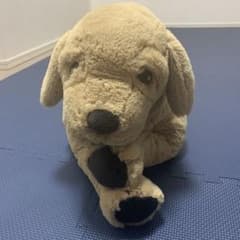 犬のぬいぐるみのサムネイル
