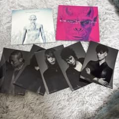 DIRENGREY SUSTAIN THE UNTRUTHのサムネイル