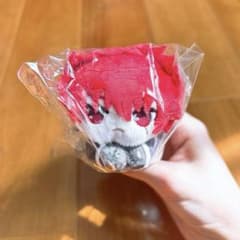 밤 벚꽃 씨의 대작전 하구 캐릭터 컬렉션 아사노 태양