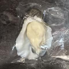 【即購入⭕️】牡蠣 リアルキーホルダーのサムネイル
