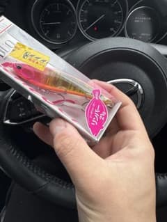 リンバー95sのサムネイル