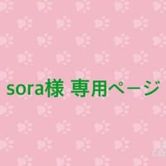 sora様 専用ページのサムネイル