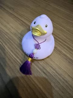 コンラッド　ソウル　アヒル