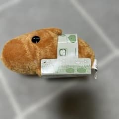 카피바라씨 라고 하는 일이 있는 쿠요 봉제인형