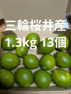 国産グリーンレモン 農薬不使用のサムネイル