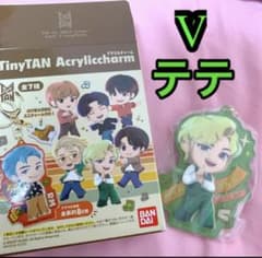 TinyTAN 아크릴 매력 (V)