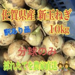 佐賀県産 新玉ねぎ 10kg 分球 訳あり品のサムネイル