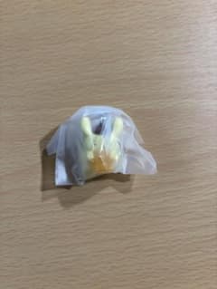 サンリオキャラクターズ　きらきらこんぺいとうチャームのサムネイル
