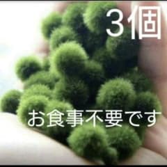 国産マリモ 約1cm 3個 癒しのマリモ無農薬 - メルカリ