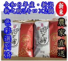 新米・令和８年産 新潟県認証　大粒な 新之助　白米10㌔（５kg×2）農家直送のサムネイル