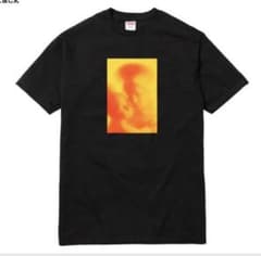 supreme 17fw Madonna & Child Tee サイズMのサムネイル