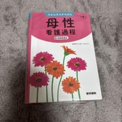 ウエルネスからみた母性看護過程+病態関連図のサムネイル