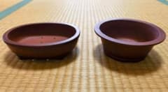 紫砂の鉢 盆栽鉢 朱泥 植木鉢 収蔵品のサムネイル