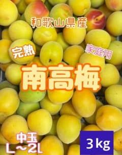 現品限り‼️大玉‼️和歌山県産 木熟紅南高梅 4L.3Lサイズ 3kg みかんキング 和歌山県産 完熟南高梅‼️L〜2L混合‼️3kg みかんキング 家庭用