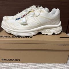 SALOMON xt6のサムネイル