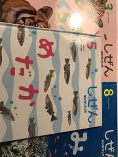キンダーブック　しぜん3冊セットのサムネイル