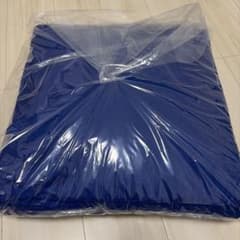 【新品未使用】トゥルースリーパー　低反発座布団のサムネイル