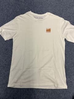 Patagonia ホワイト Tシャツ Mサイズのサムネイル