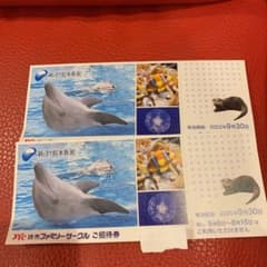 新江ノ島水族館 チケット 2枚のサムネイル