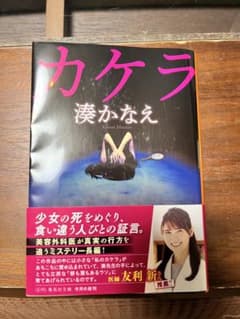 カケラのサムネイル