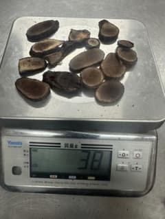 エゾ鹿　鹿茸　38gのサムネイル