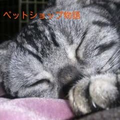 ちゅり様専用☆のサムネイル